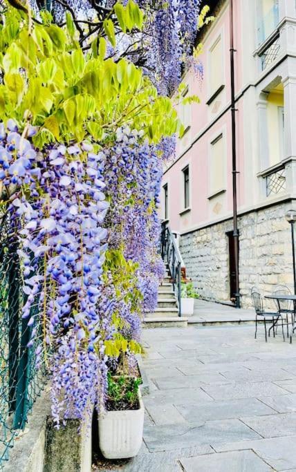 Charming & Luxury Villa Como Lake Экстерьер фото